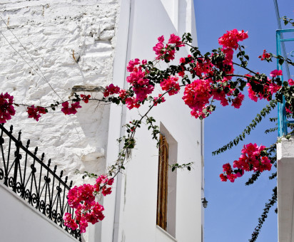 San Felice Circeo, Giugno 2016