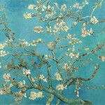 Van Gogh, Amandier en fleurs, 1890